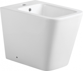 BIDE_NAPOLNOE_AQUANET_TAVR_2_0_B1_LX_1062_1