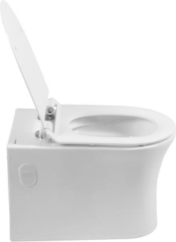 CHASHA_PODVESNOGO_UNITAZA_AQUANET_RIMLESS_ROLL_W_CL_12249D_7