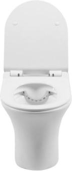 CHASHA_PODVESNOGO_UNITAZA_AQUANET_RIMLESS_ROLL_W_CL_12249D_5