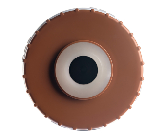WsFe - 20BB (5)