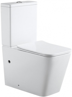 CHASHA_NAPOLNOGO_UNITAZA_AQUANET_RIMLESS_TAVR_2_0_C1_LX_2905_1