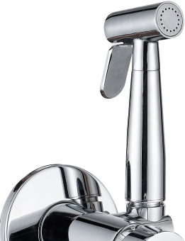 SMESITEL_S_GIGIENICHESKIM_DUSHEM_AQUANET_PASSION_AF300_52S_3