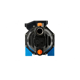 3006 (5)