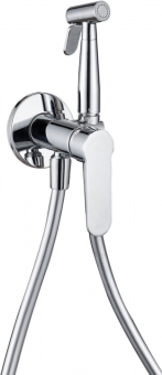 SMESITEL_S_GIGIENICHESKIM_DUSHEM_AQUANET_PASSION_AF300_52S_1