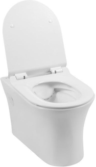 CHASHA_PODVESNOGO_UNITAZA_AQUANET_RIMLESS_ROLL_W_CL_12249D_3